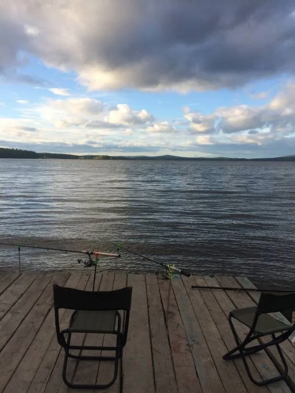 Лещ, Окунь