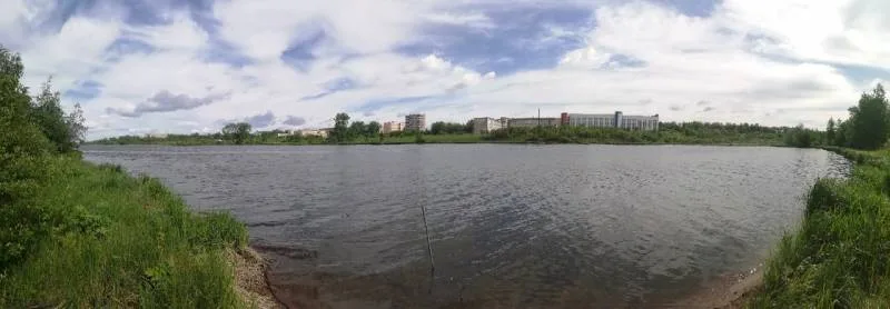 Окунь