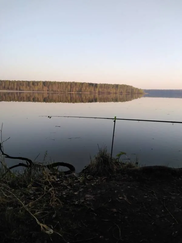 Лещ