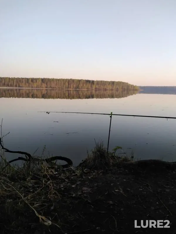 Лещ — Тагил, 12 мая 2019 г.
