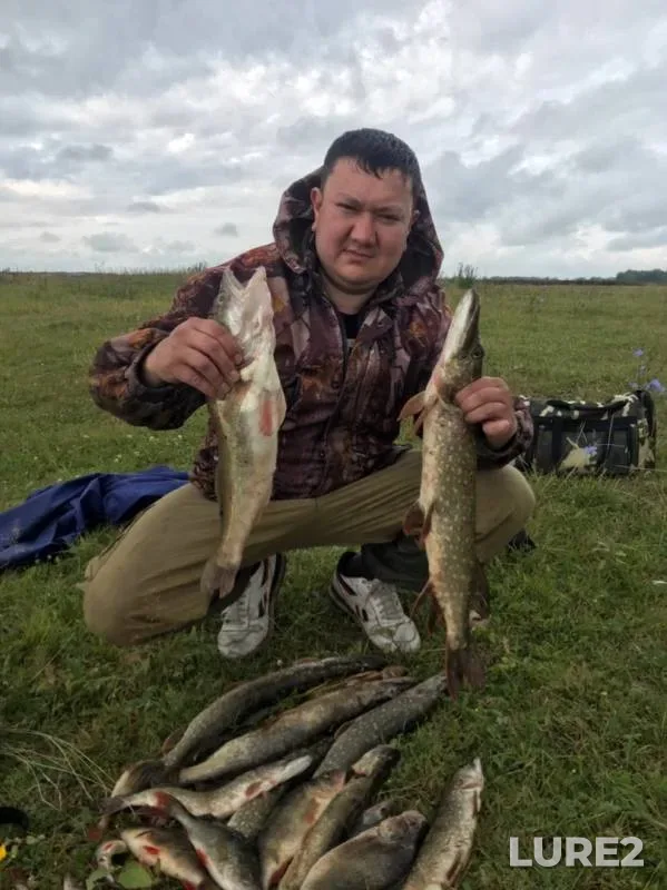 Окунь, Щука — Белая, 27 сент. 2019 г.