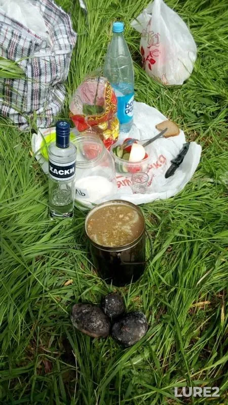 Щука