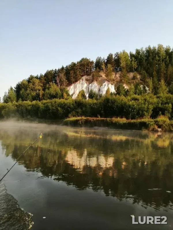 Жерех, Щука — Яя, 17 авг. 2019 г.