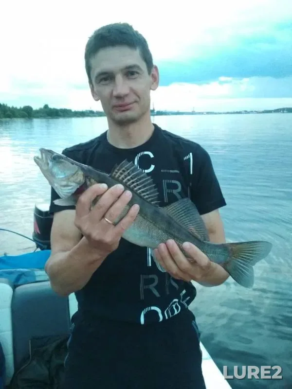 Судак — Волга, 24 июл. 2019 г.