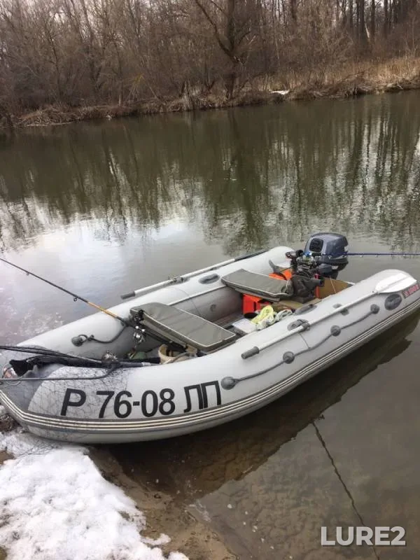Щука — Воронеж, 25 мар. 2019 г.