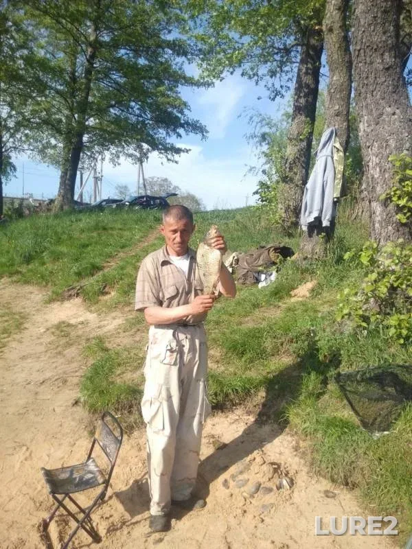 Карась, Толстолобик — Івано-Франківська область, 18 июл. 2018 г.