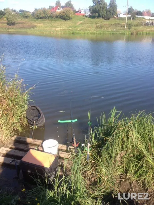 Карп, Карась — Уводь, 02 сент. 2019 г.
