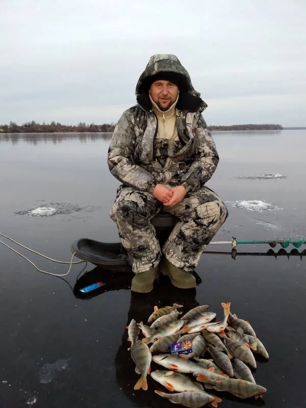 Окунь