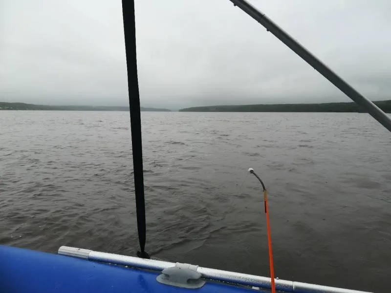 Лещ