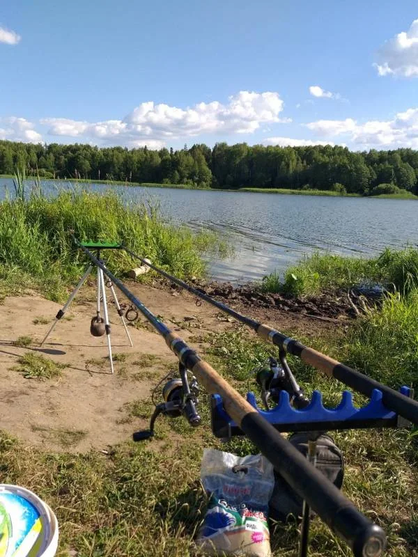 Карась