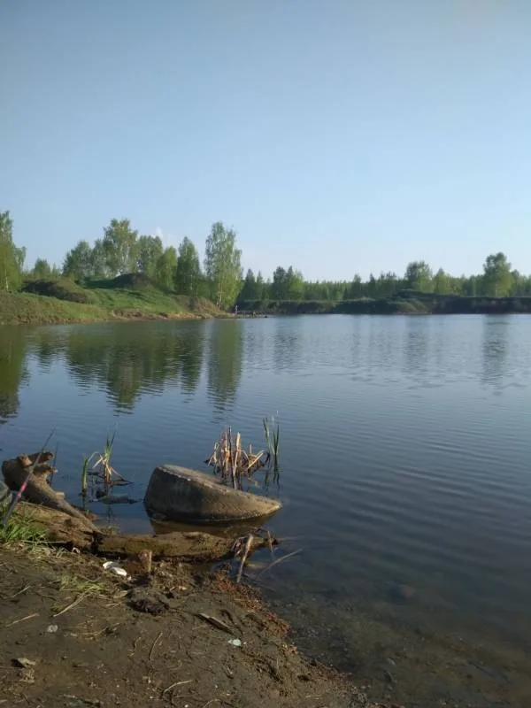 Карп