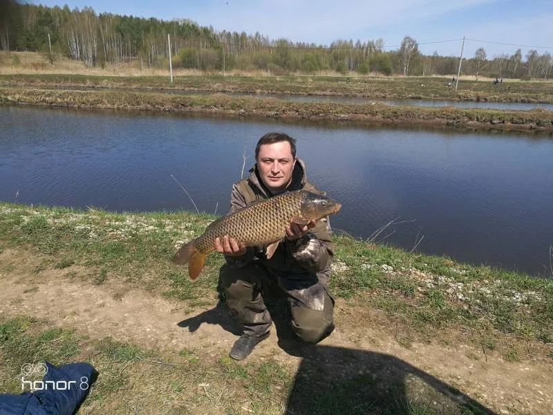 Карп