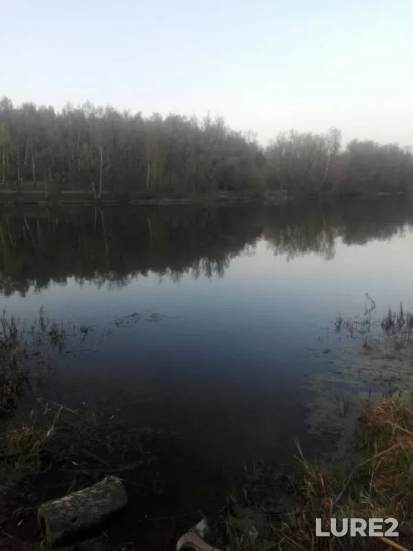 Плотва — Уводь, 01 мая 2019 г.