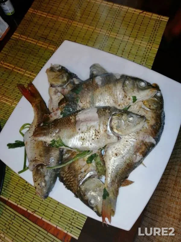 Карп