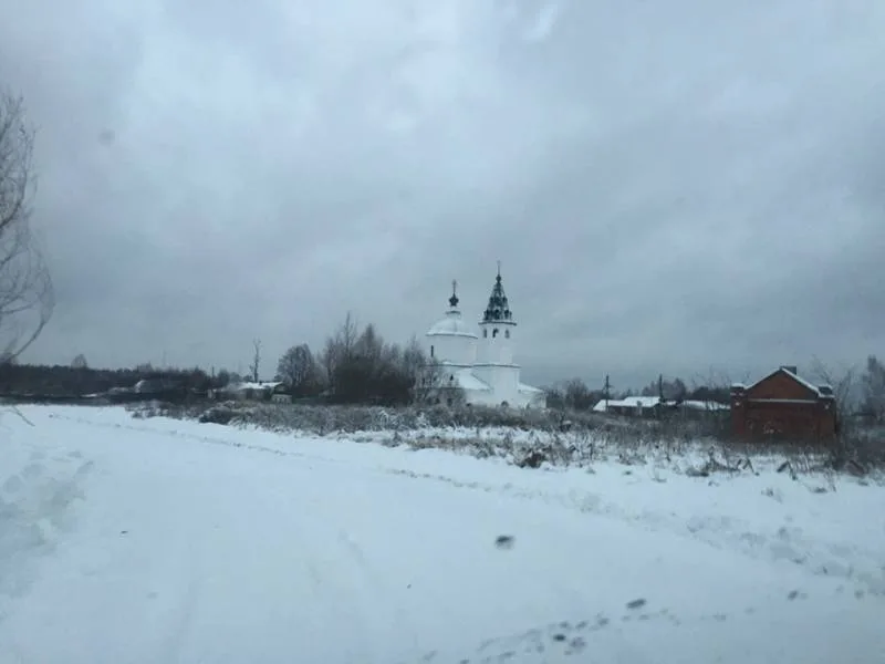 Окунь, Плотва