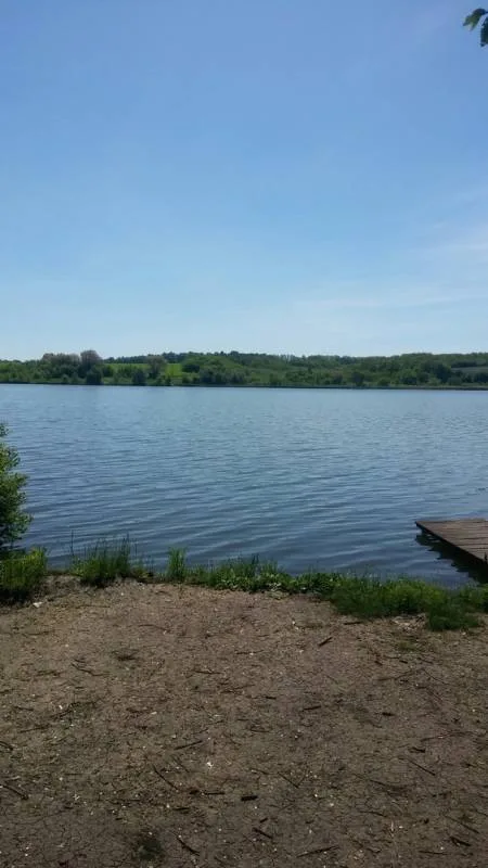 Карп