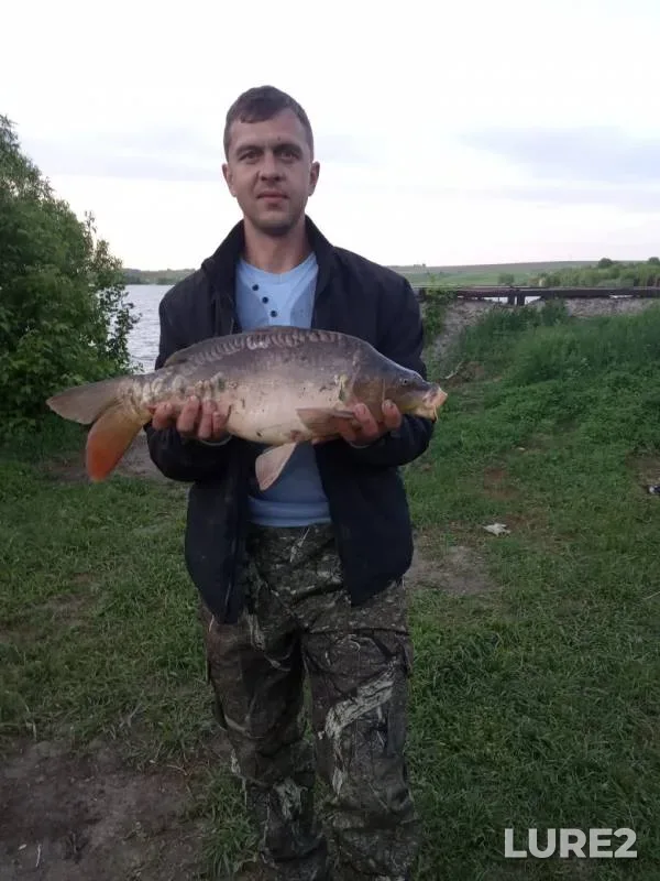 Карп — Курская область, 17 мая 2019 г.