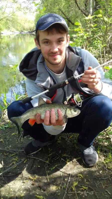 Голавль