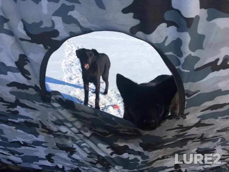 Окунь, Плотва — Герасим, 22 янв. 2019 г.