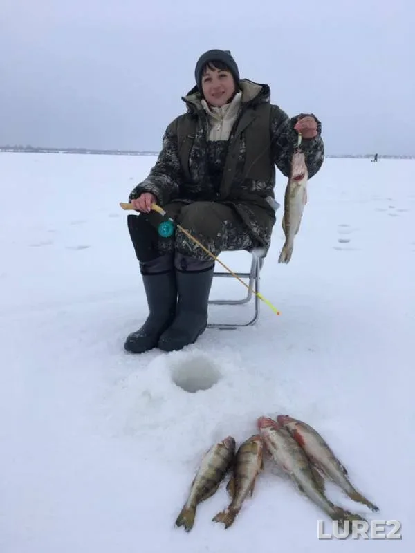 Судак — Волга, 17 февр. 2019 г.