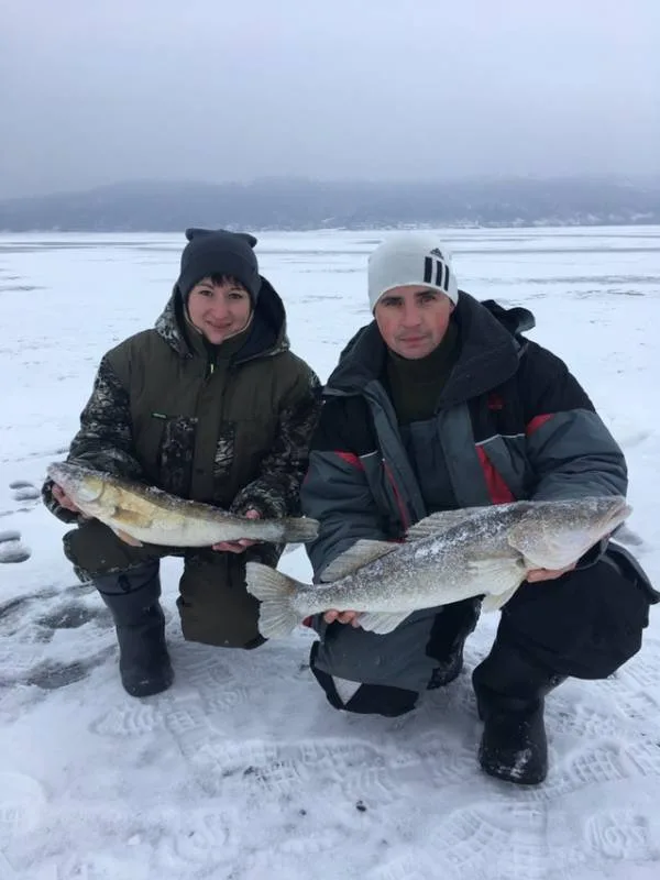 Судак