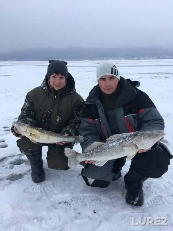 Судак — Волга, 26 янв. 2019 г.