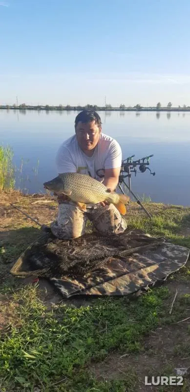 Карп — Самарская область, 26 мая 2019 г.