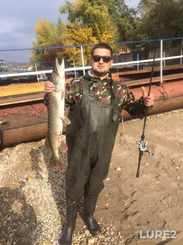 Щука — Волга, 08 окт. 2017 г.