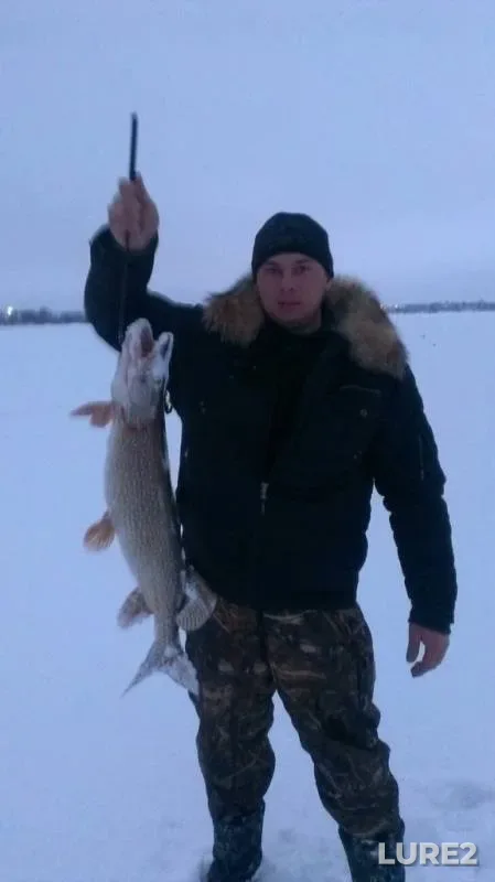 Щука — Аборино, 08 янв. 2014 г.