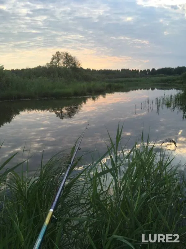 Уклейка, Окунь