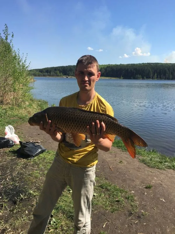 Карп