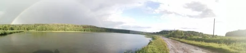 Карп