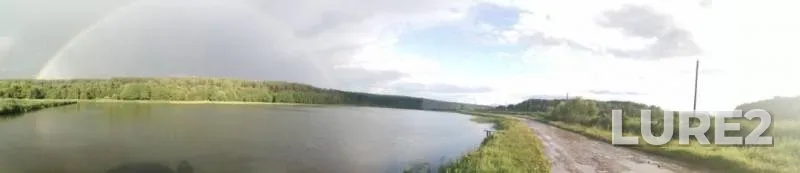 Карп