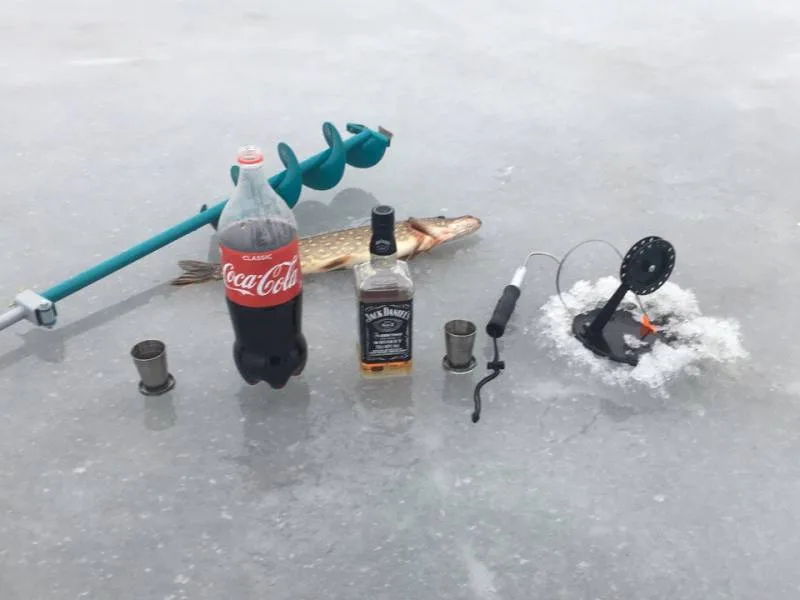 Щука