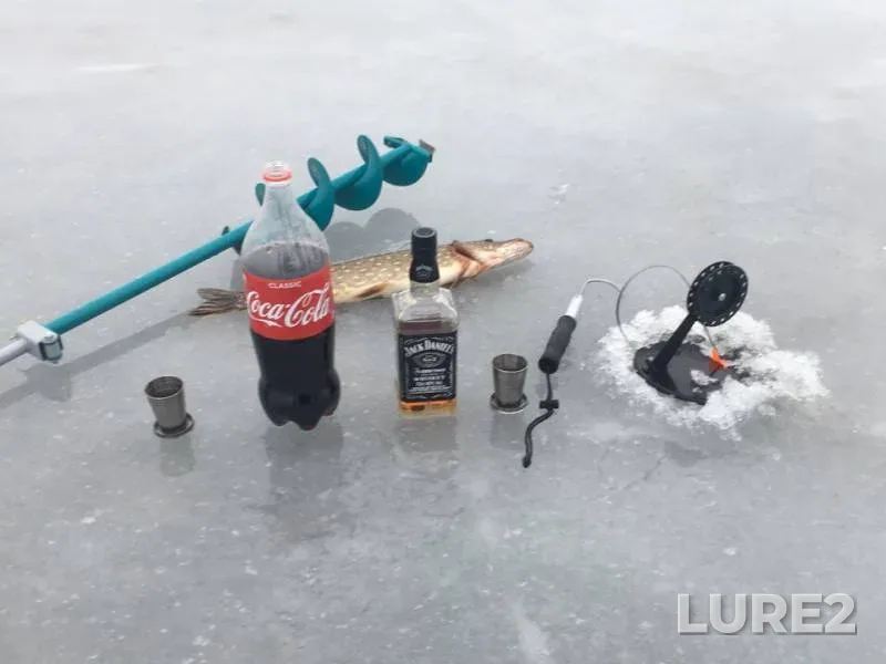 Щука