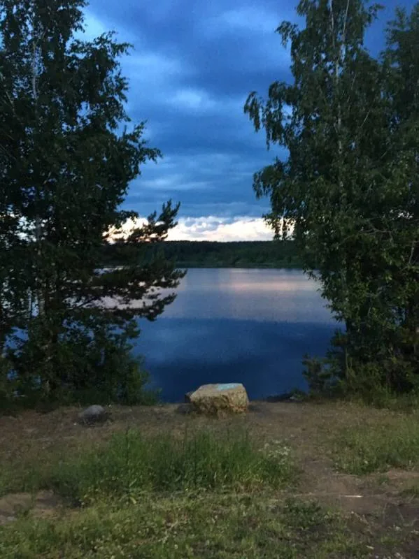 Лещ, Карась