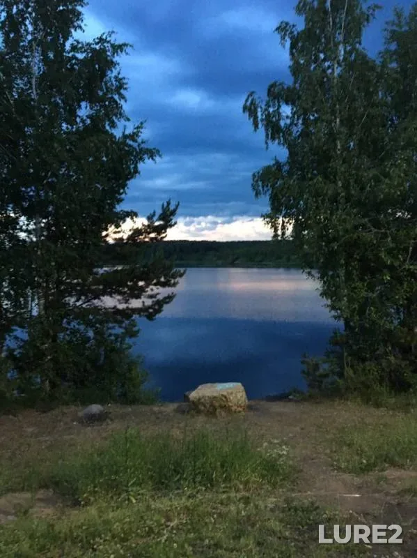 Лещ, Карась — Белоярское, 23 июн. 2019 г.