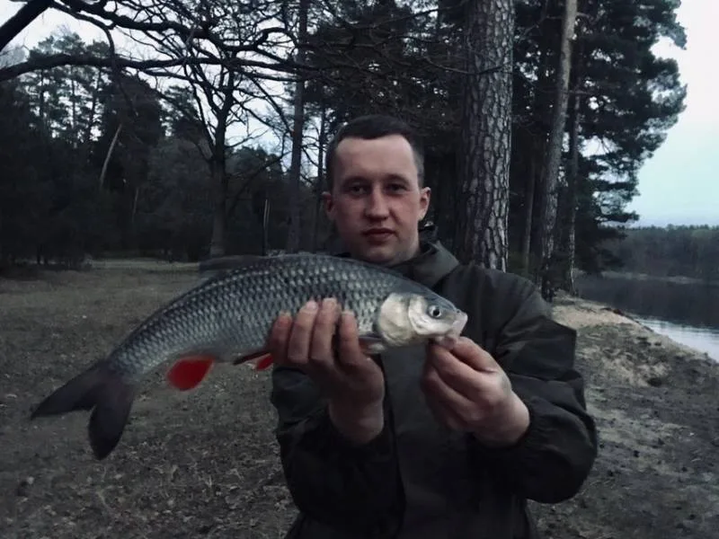 Голавль