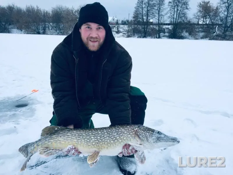 Щука — Затока, 11 янв. 2019 г.