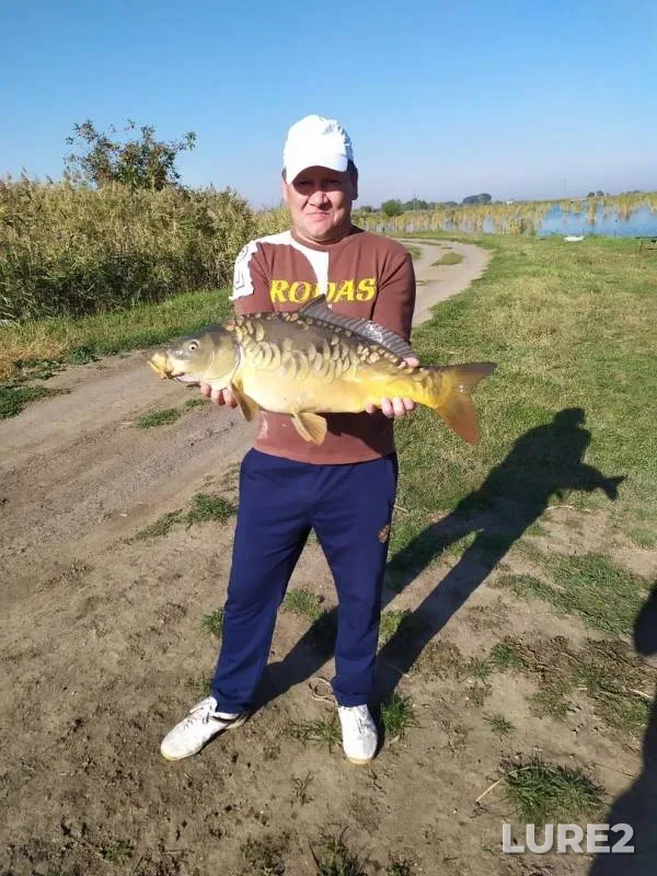 Карп — Краснодарский край, 04 окт. 2019 г.