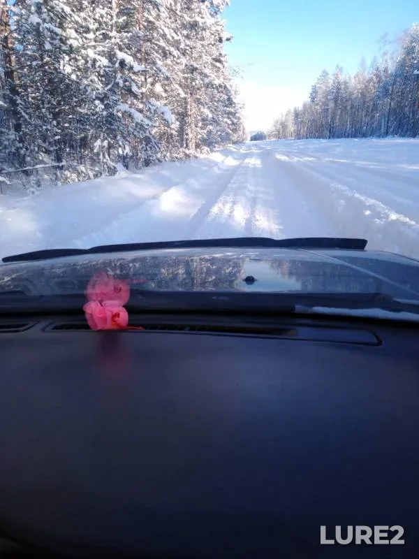 Окунь