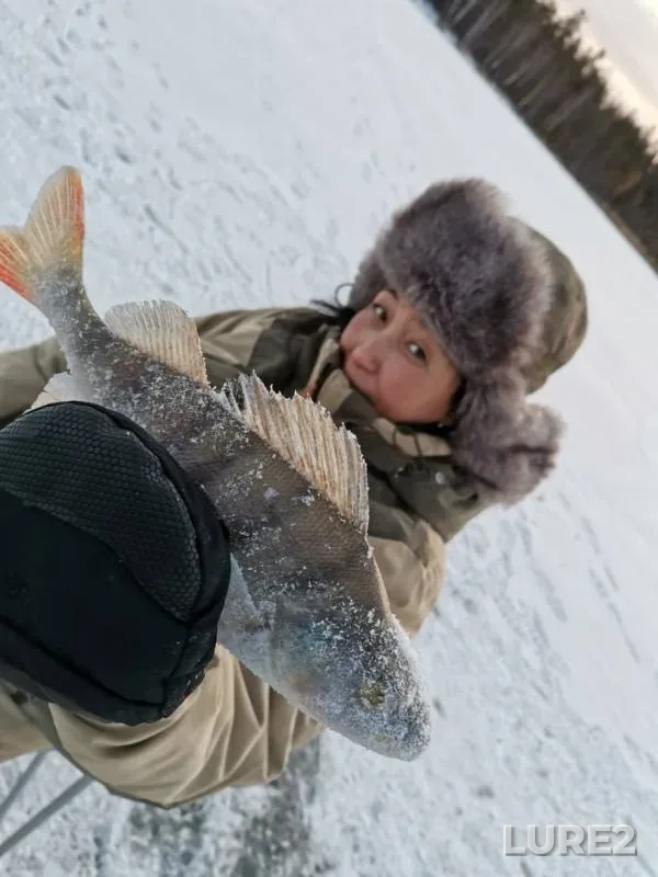 Окунь