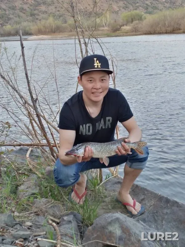 Щука — Чикой, 23 мая 2019 г.