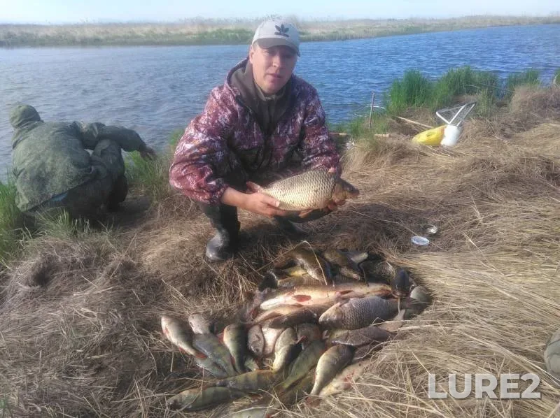 Карась, Окунь — Республика Бурятия, Кабанский район, 10 июн. 2019 г.