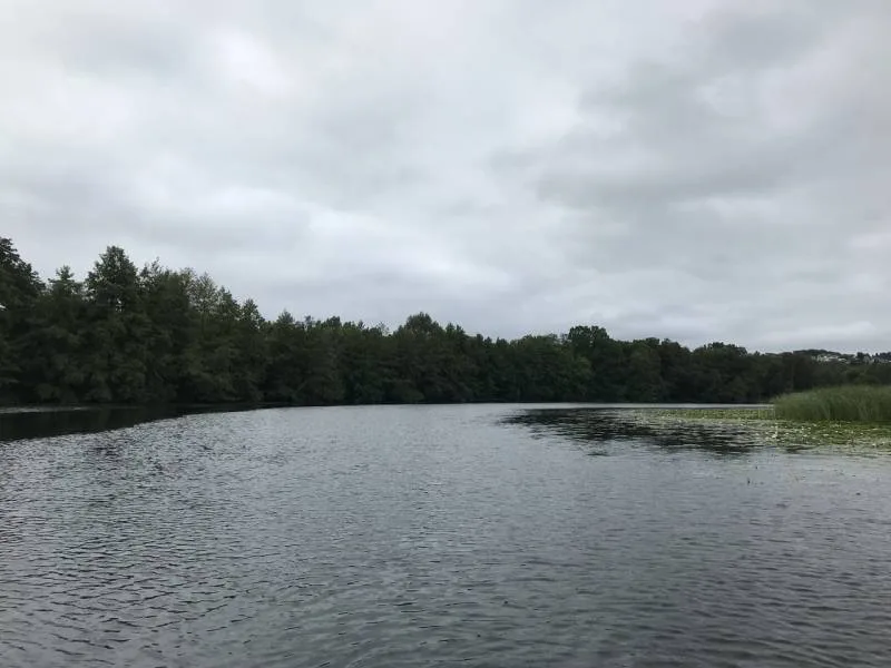 Окунь, Щука