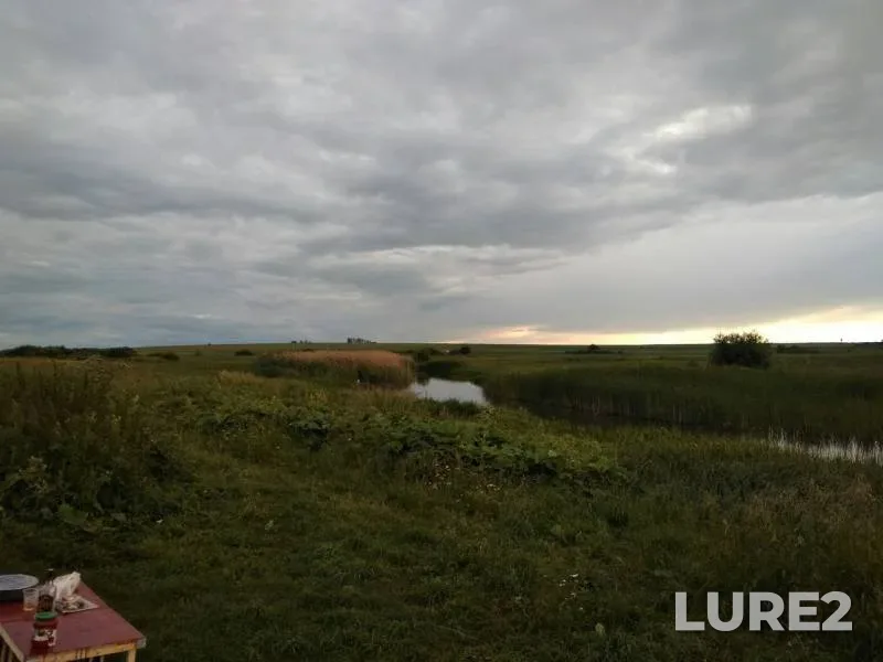 Лещ