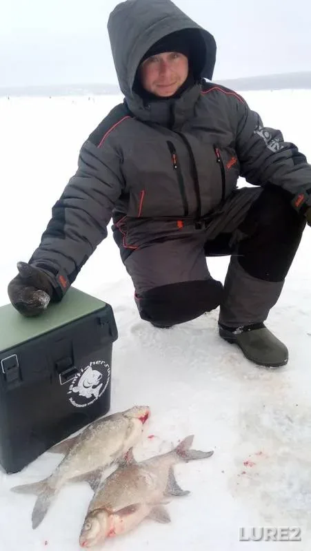 Лещ — Пензенское, 20 дек. 2016 г.