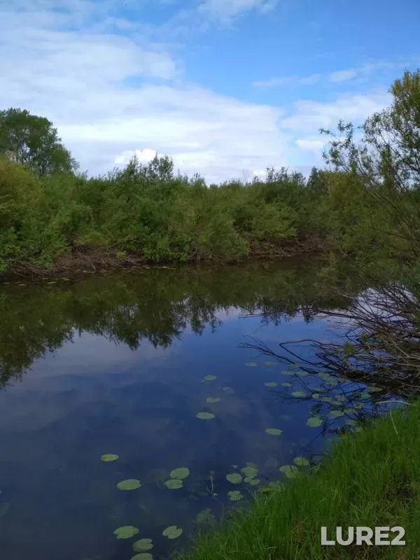 Щука — Амба, 02 июн. 2019 г.