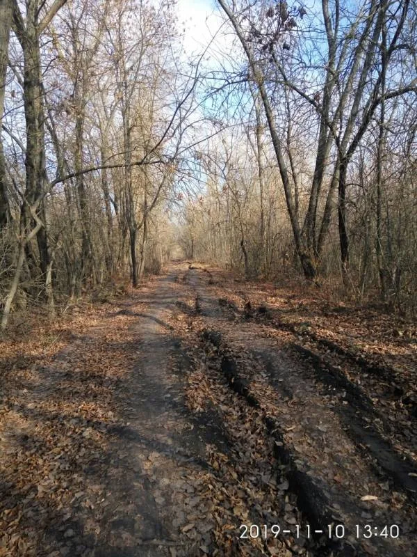 Окунь