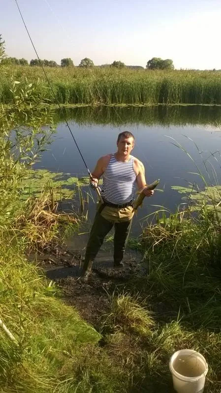 Щука